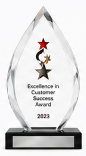 Excellence in Customer Success Award